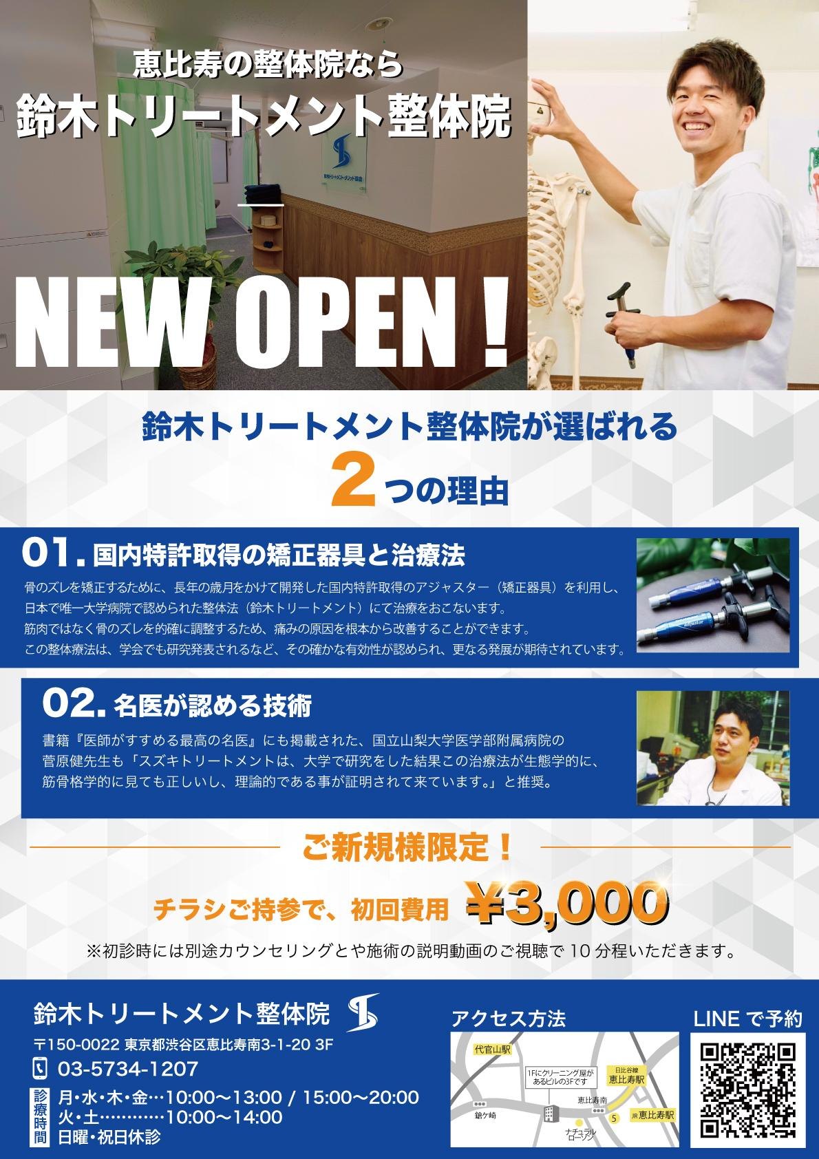 整体院様のオープニングキャンペーンチラシ 全体